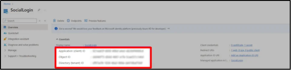 Screenshot of the Azure application overview page after registration